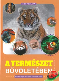 A természet bűvöletében (Rich Aguilera)