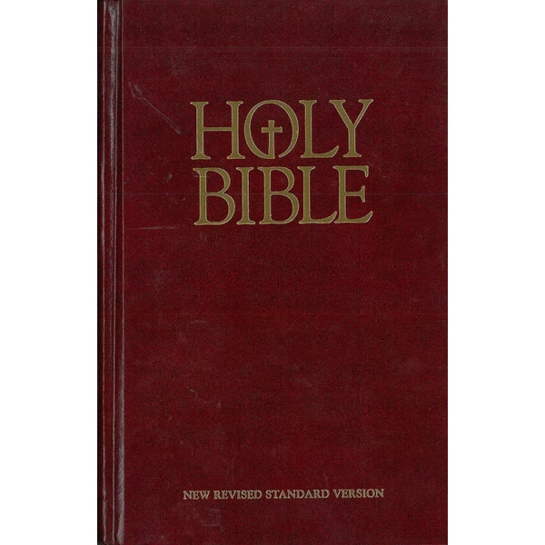 Holy Bible - angol nyelvű Biblia - új fordítású