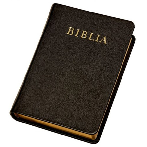 Biblia - revideált újfordítás - bőrkötésű, aranymetszésű - normál méret